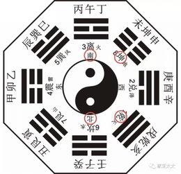 八卦爆料话术大全最新版,揭秘最新版神秘技巧与策略