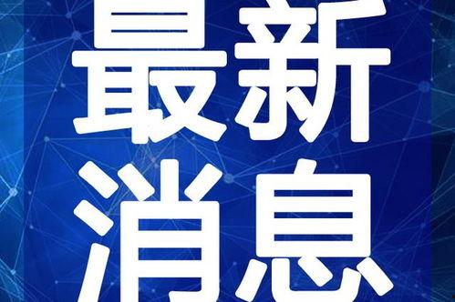 苏讯科技爆料最新消息视频,揭秘视频背后的科技革新动态